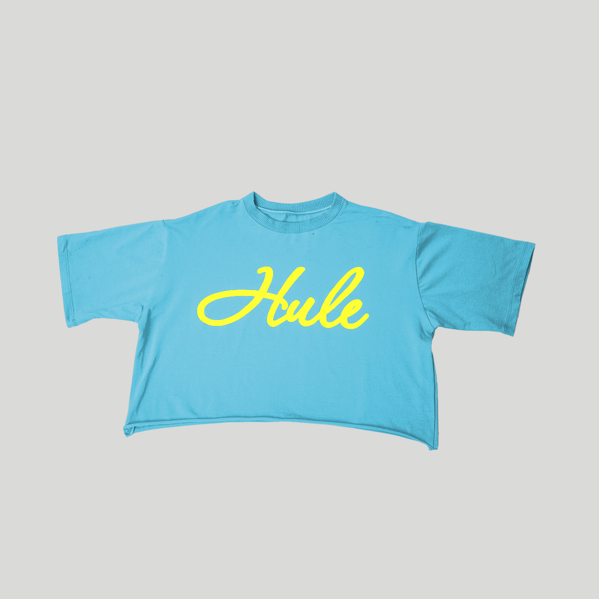 Blush Script Oversize Crop - Hule Brand