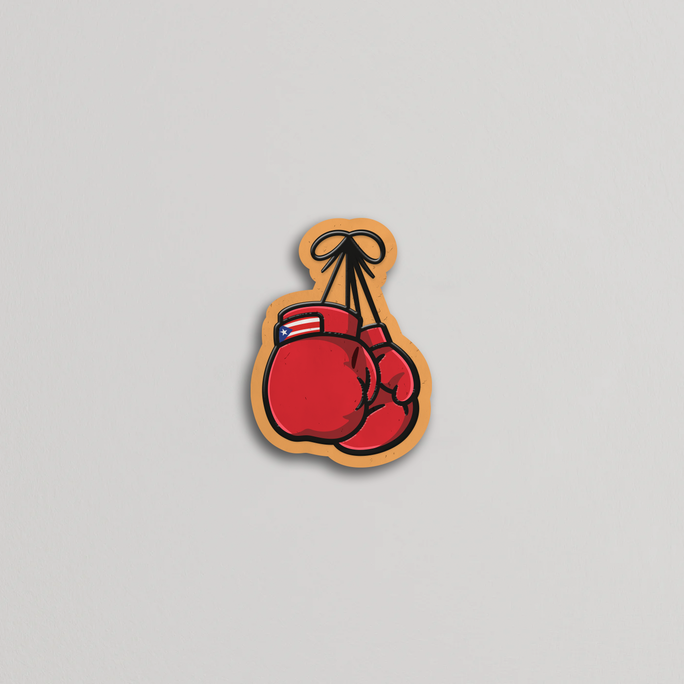 PR Boxing Gloves - Hule Brand